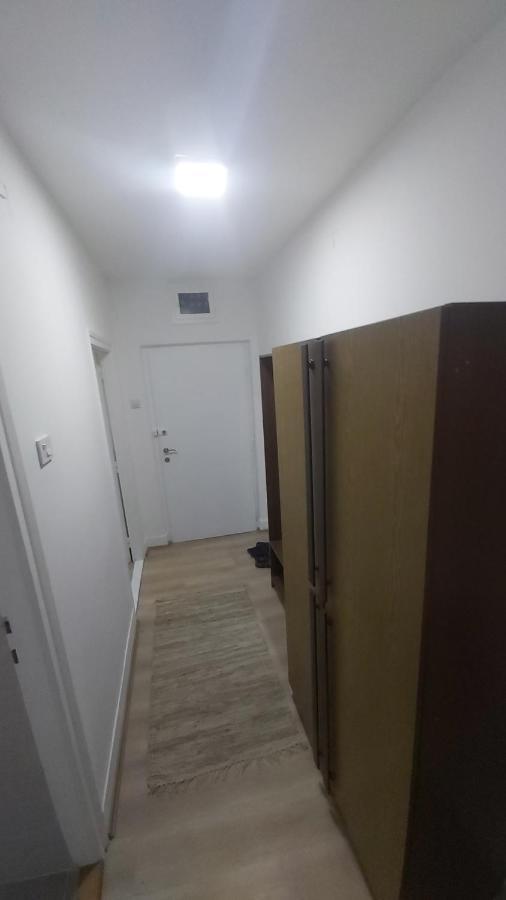 Apartman Pavlovic 莱斯科瓦茨 外观 照片