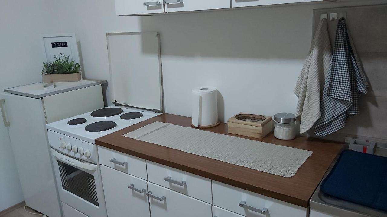 Apartman Pavlovic 莱斯科瓦茨 外观 照片