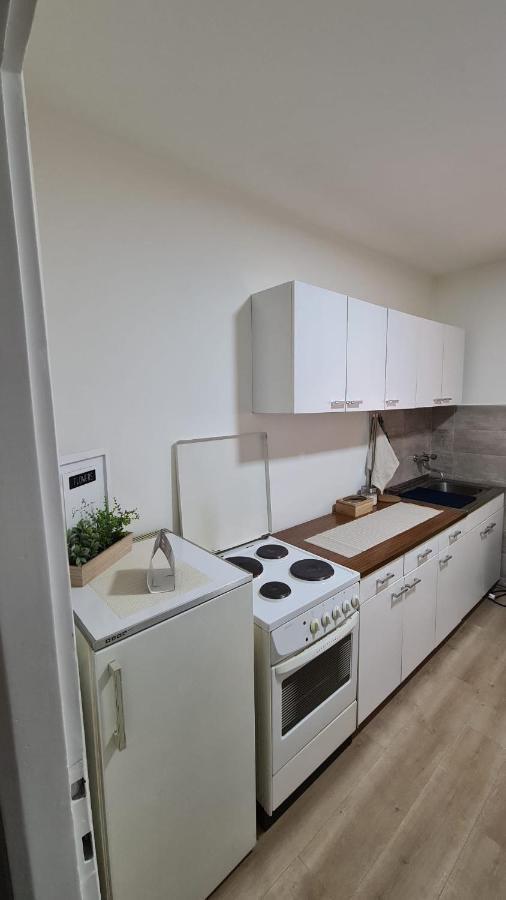 Apartman Pavlovic 莱斯科瓦茨 外观 照片