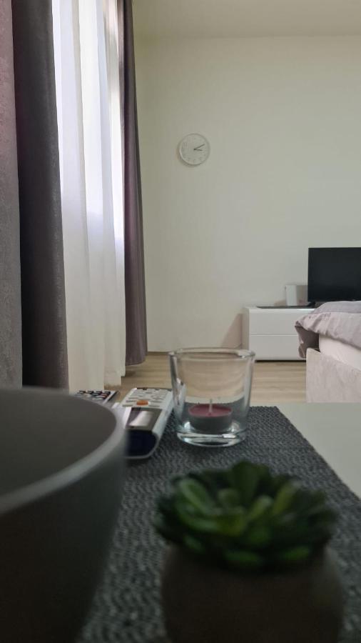 Apartman Pavlovic 莱斯科瓦茨 外观 照片